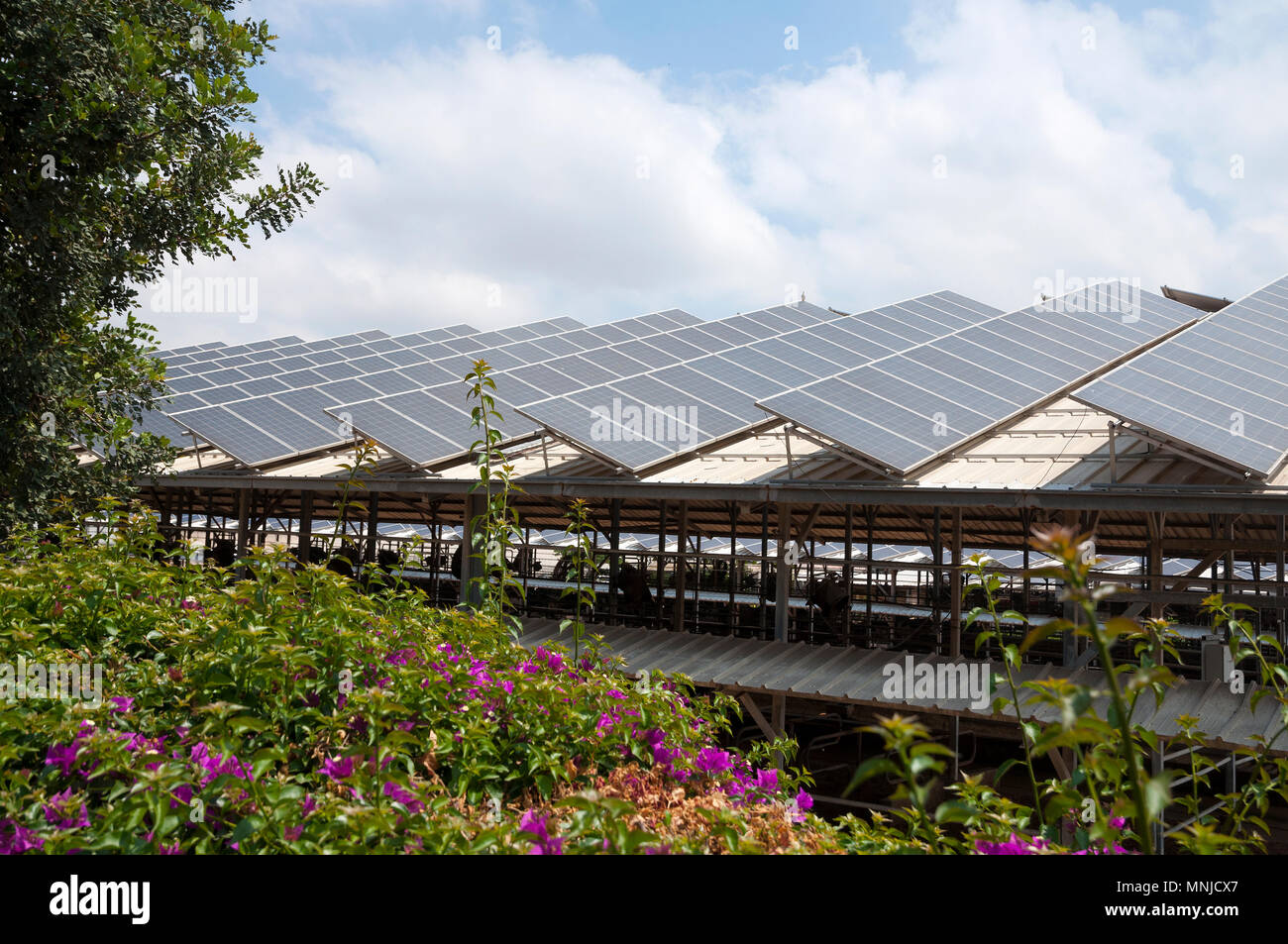 green-energy-solar-panels-on-roof-stock-photo-alamy