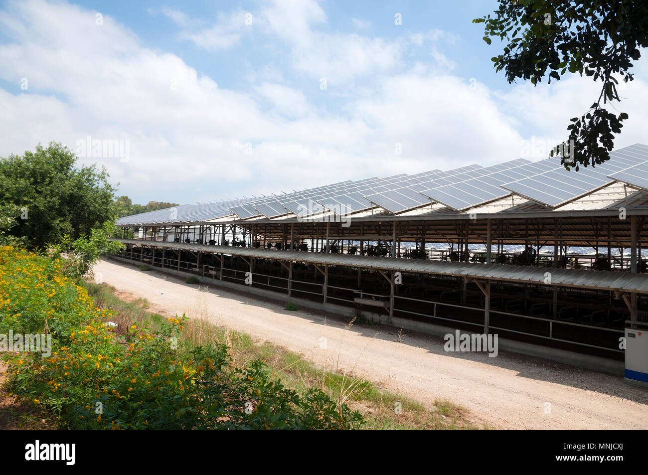 Green energy, solar panels on roof Stock Photo - Alamy