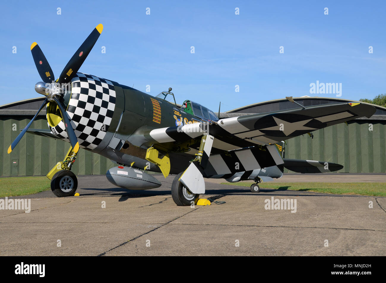 Republic P-47 Thunderbolt named Snafu War Eagle World War Two, Second World War fighter plane rolled out after painting. Checkerboard nose Stock Photo