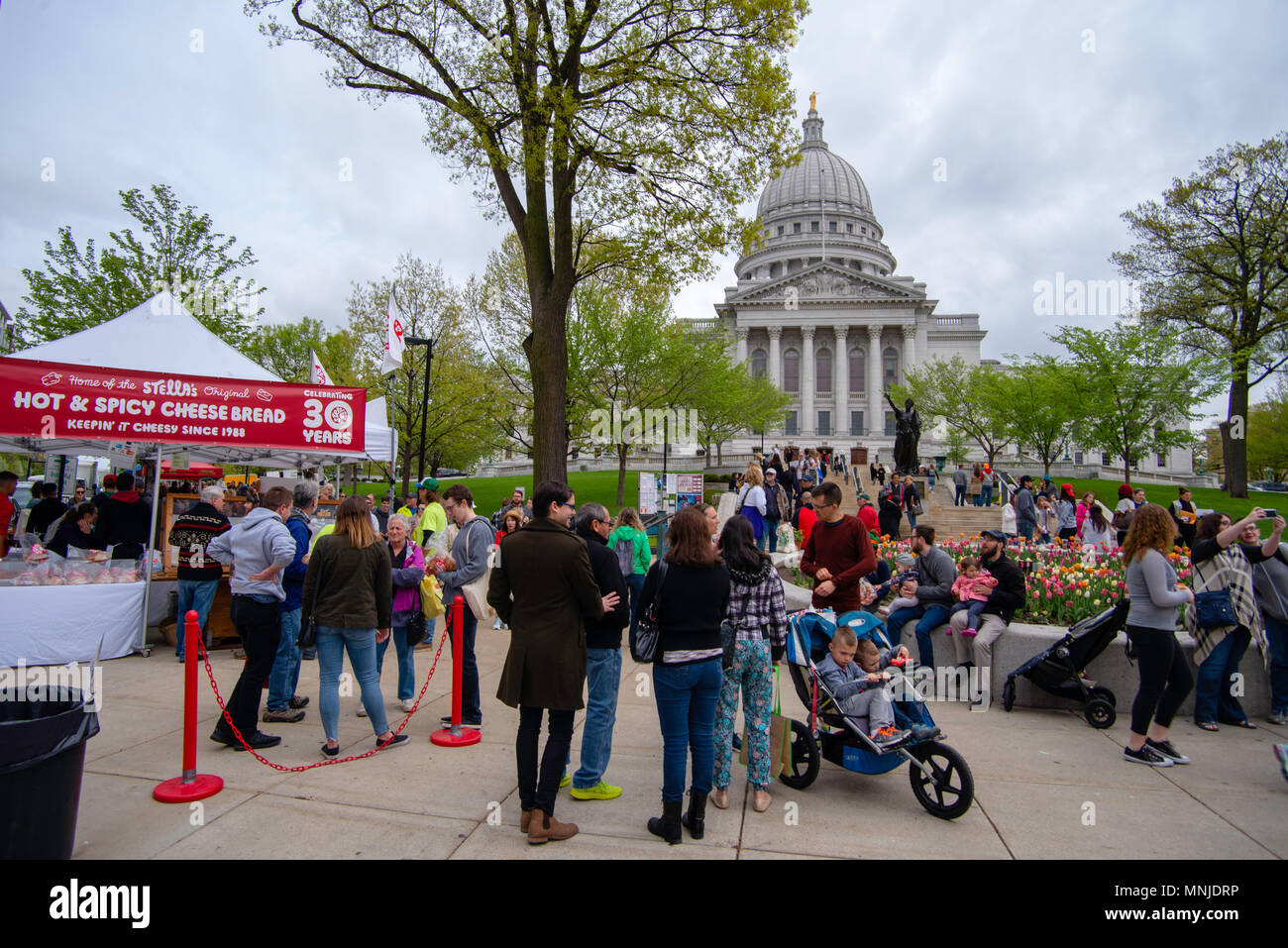 Madison Wi Exactly How Many Square >> Photograph From The Madison Wisconsin Saturday Morning Farmers Madison Wi Exactly How Many Square >> Photograph From The Madison Wisconsin Saturday Morning Farmers