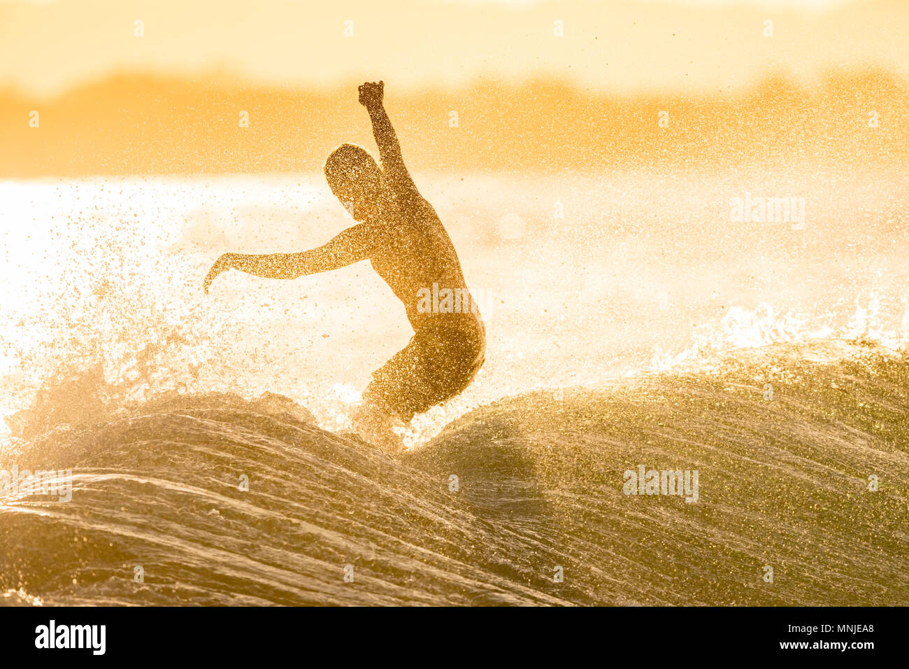 A surfer is silhouetted in the orange glow of a setting sun riding a wave at Noosa National Park a world surfing reserve Stock Photo