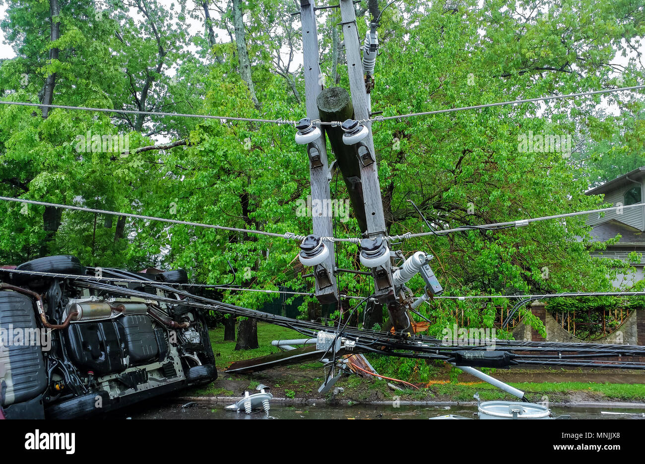 tree and electric pole on after hurricane damaged car turned over after