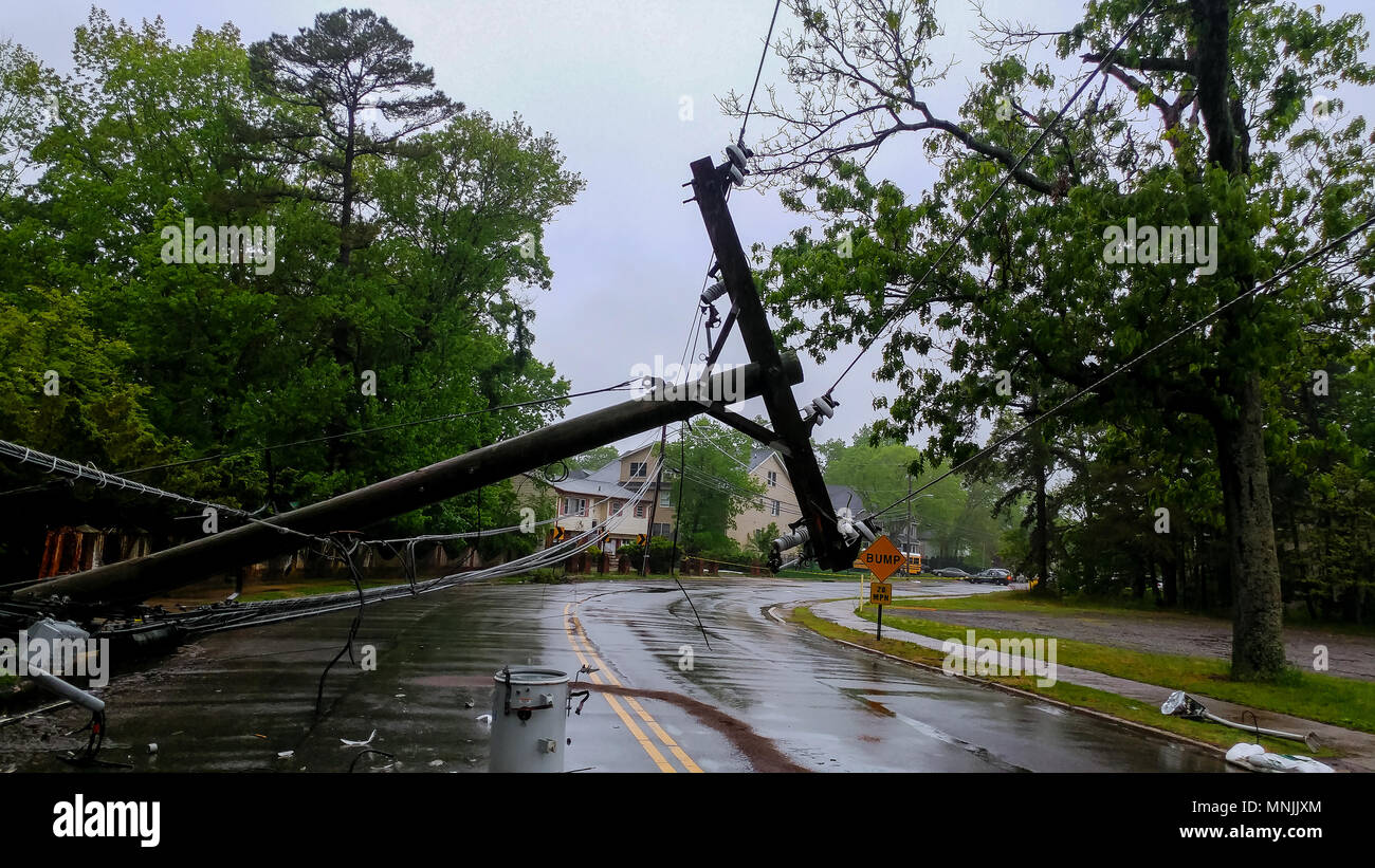 transformer on a electric poles and a tree laying across power lines over a road after Hurricane Stock Photo