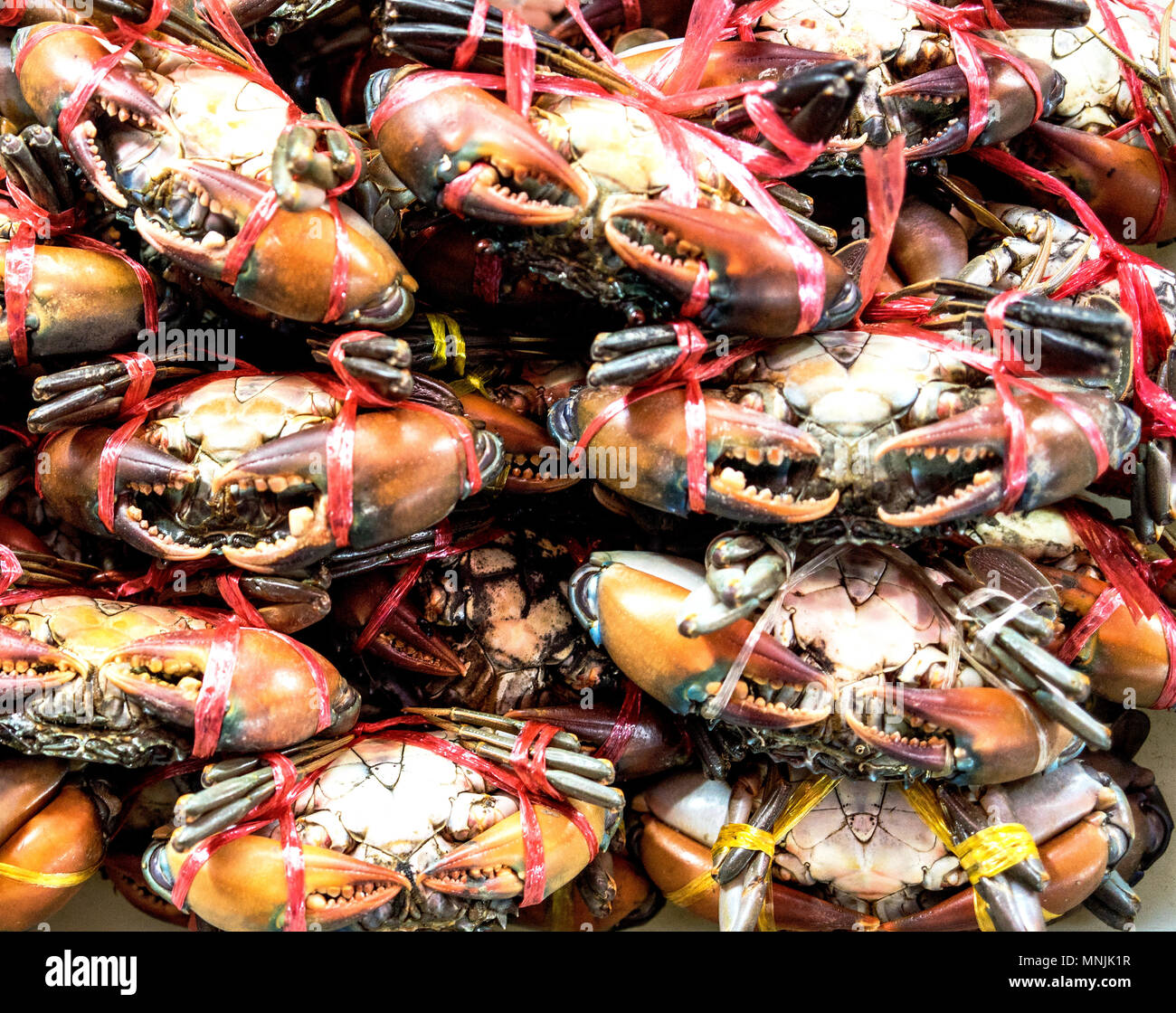 Crab in the market, Bali Indonesia Stock Photo Alamy
