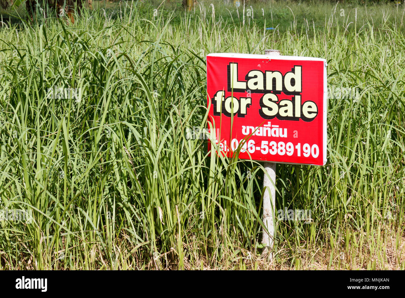 Land For Sale Devore at Eleanor Noel blog