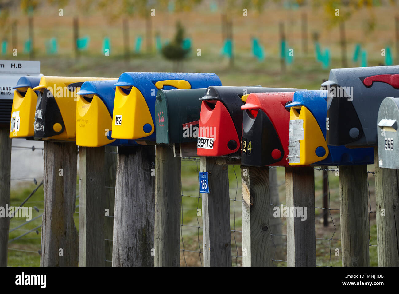 Rural letterboxes, Hawea, near Wanaka, Otago, South Island, New Zealand Stock Photo