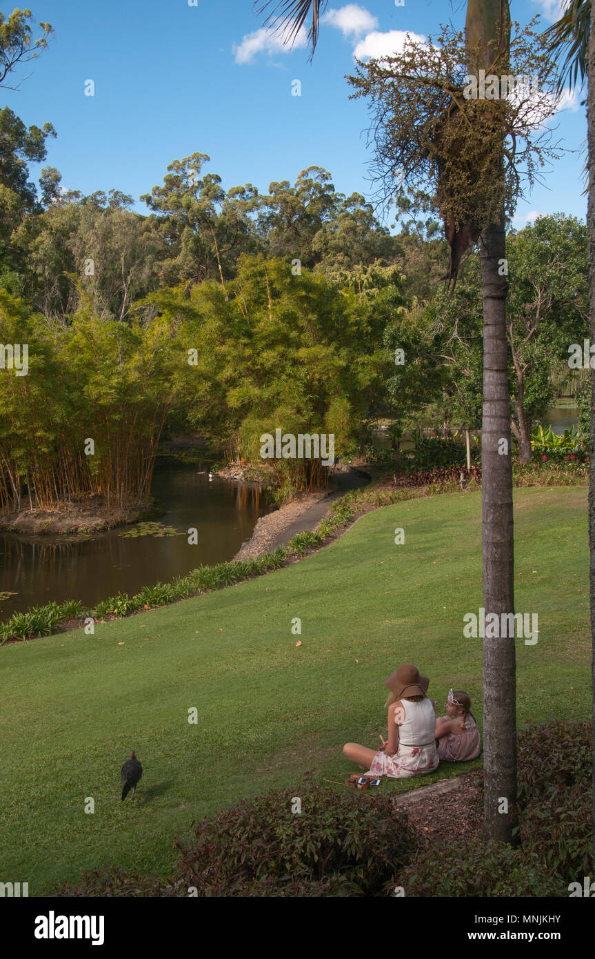 Visitors to the Mt Coot-tha Botanic Gardens, Brisbane, Queensland, Australia Stock Photo