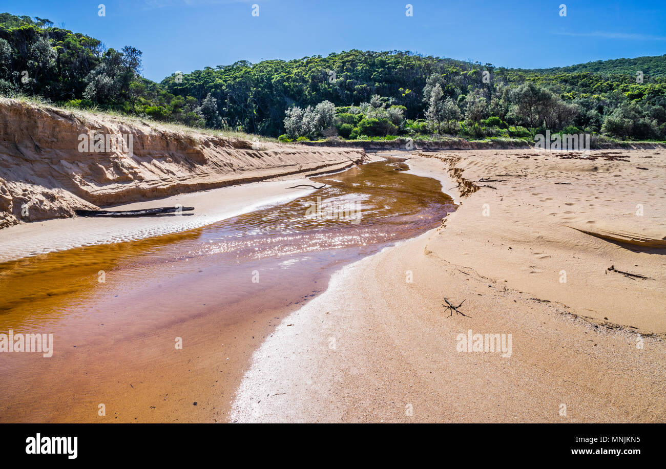 the overflow of the Maitland Bay lagoon forms a stream across the beach, Bouddi National Park, Central Coast, New South Wales, Australia Stock Photo