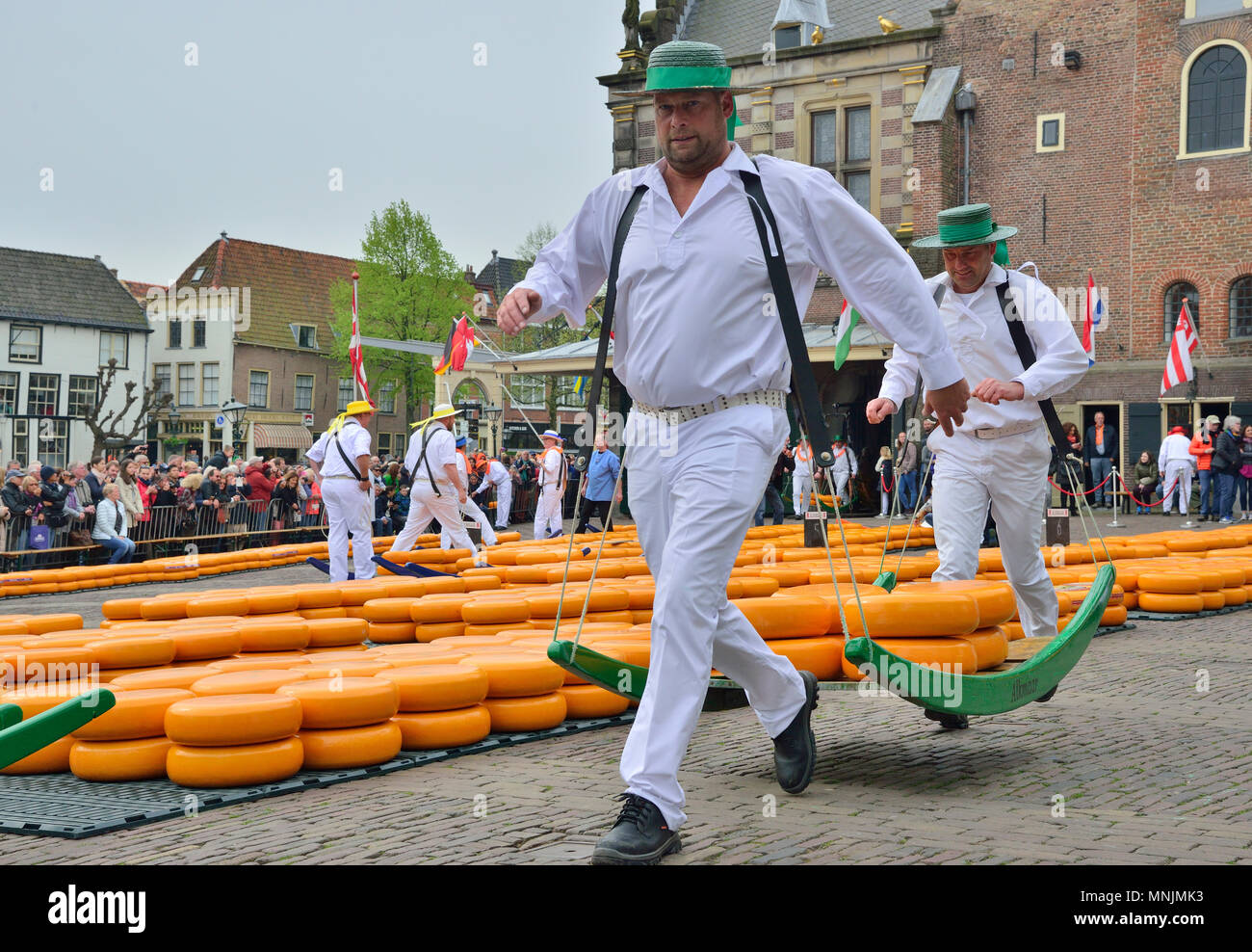 The entertaining cheese market takes place on the Waagplein in Alkmaar, Holland each week during spring and summer. Stock Photo