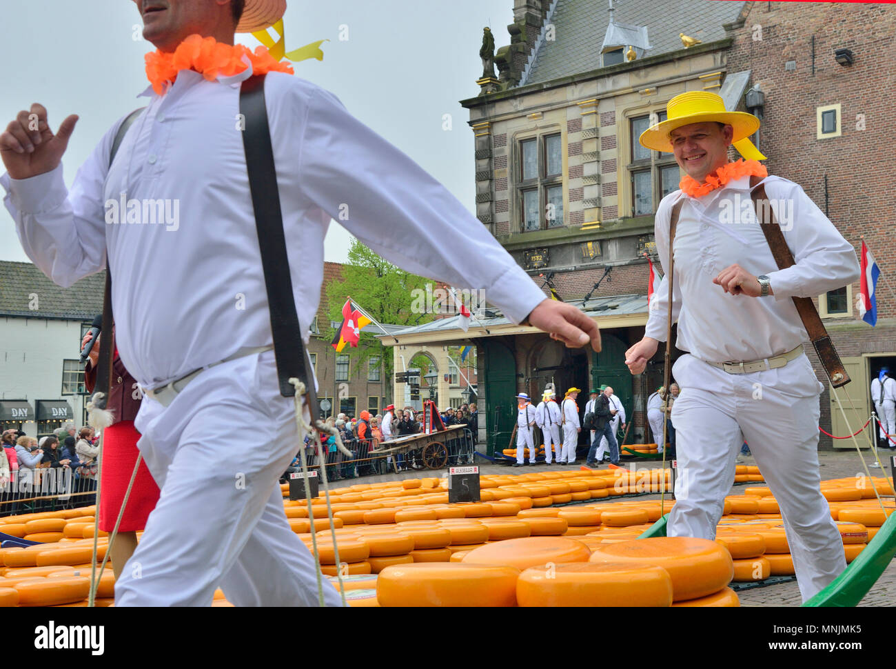 The entertaining cheese market takes place on the Waagplein in Alkmaar, Holland each week during spring and summer. Stock Photo