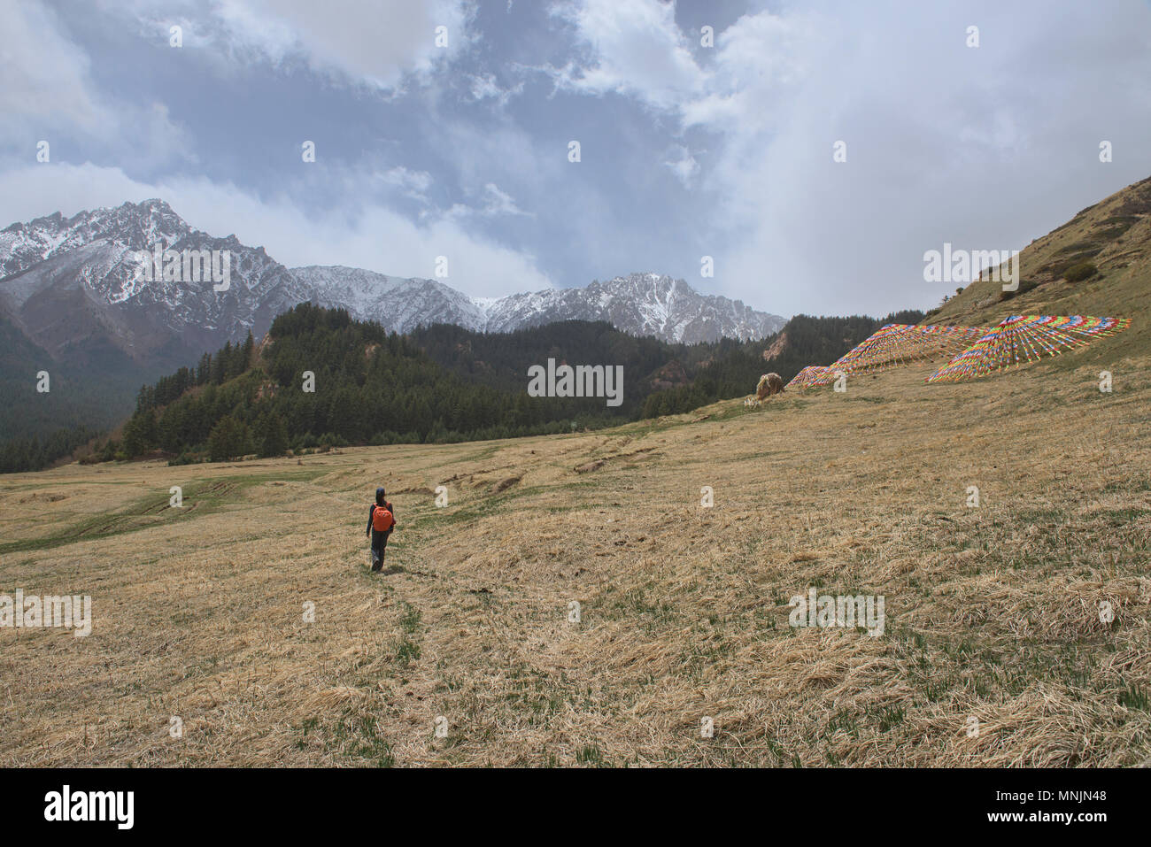 Trekking into the Qilian Mountains from the Mati Si Temples, Gansu, China Stock Photo