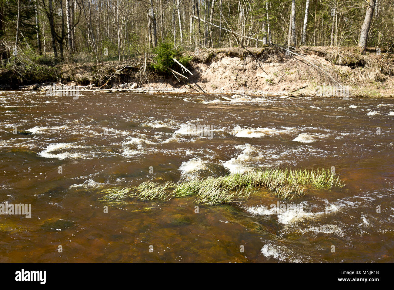 River Ogre, Latvia Stock Photo