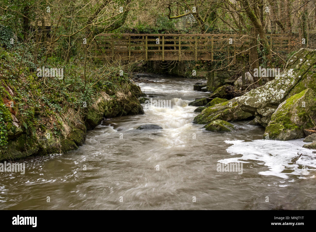 A weir on the Afon Cefni at Llangefni Dingle Stock Photo Alamy