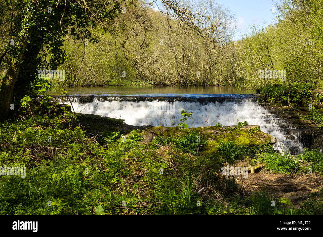A weir on the Afon Cefni at Llangefni Dingle Stock Photo Alamy