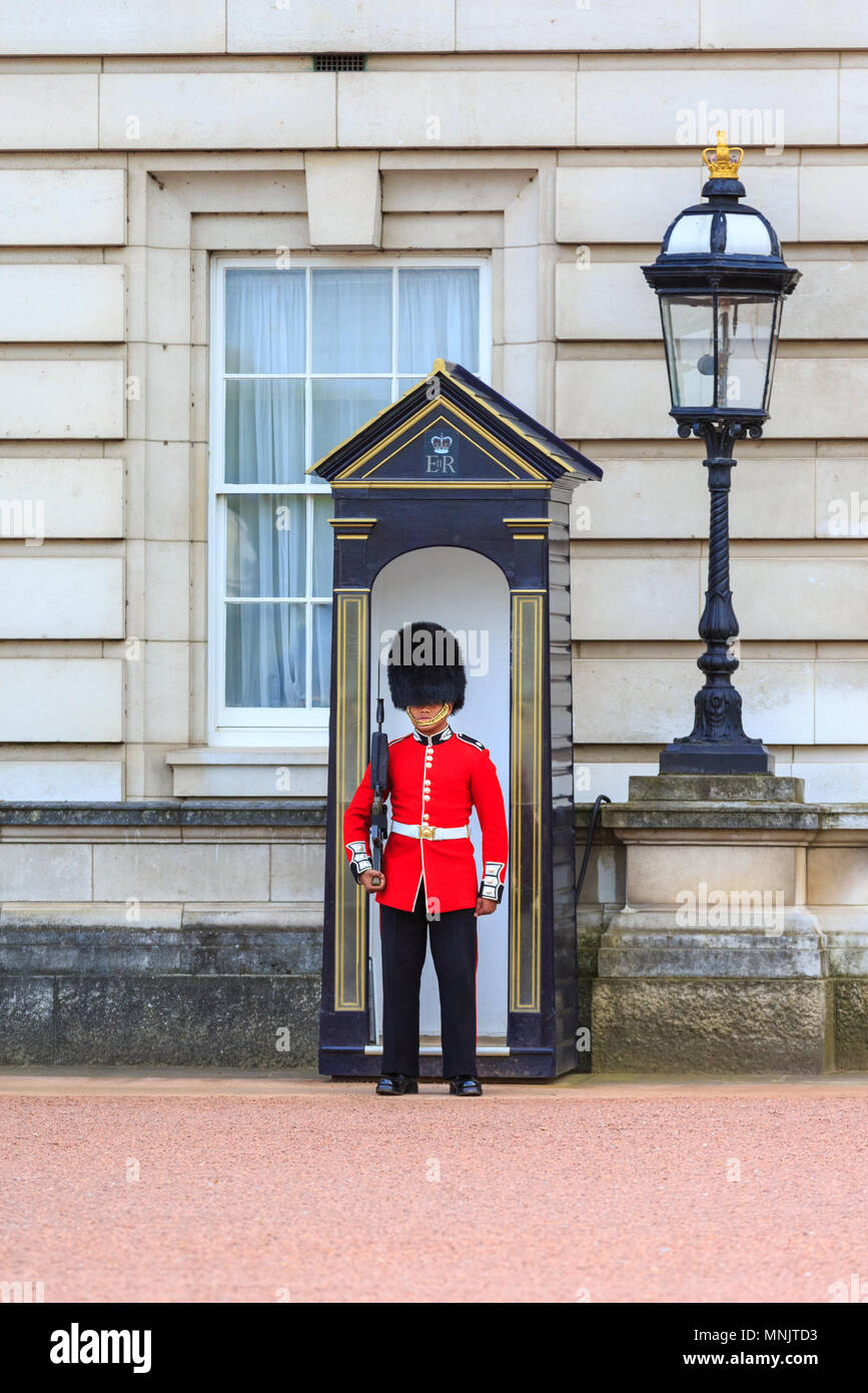 Sentry of the Grenadier Guards, Queens Guard guardsman outside Buckingham Palace, Royal residence of the Queen, London, England, United Kingdom Stock Photo