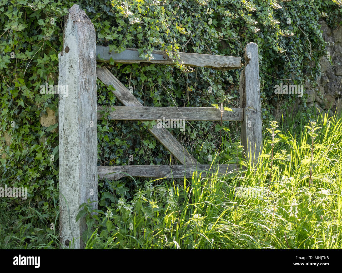Simple wooden gate design hi-res stock photography and images - Alamy