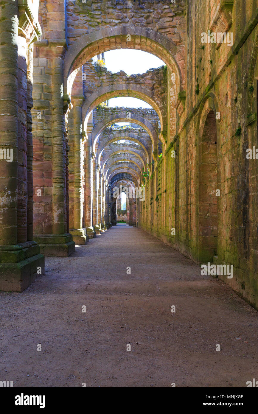 England, North Yorkshire, Ripon. Fountains Abbey, Studley Royal. UNESCO World Heritage Site. National Trust, Cistercian Monastery. Ruins of archways n Stock Photo