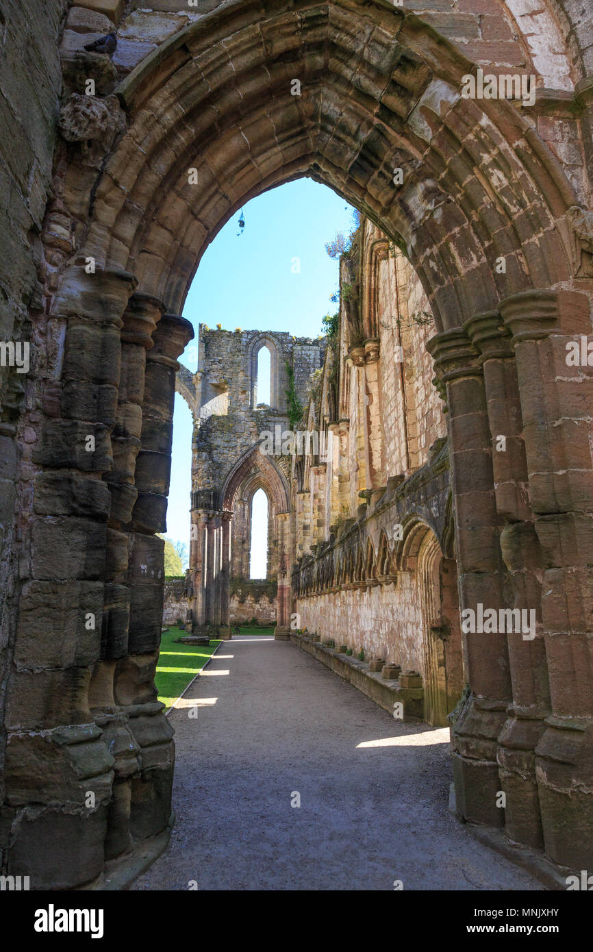 England, North Yorkshire, Ripon. Fountains Abbey, Studley Royal. UNESCO World Heritage Site. National Trust, Cistercian Monastery. Ruins of Church Abb Stock Photo