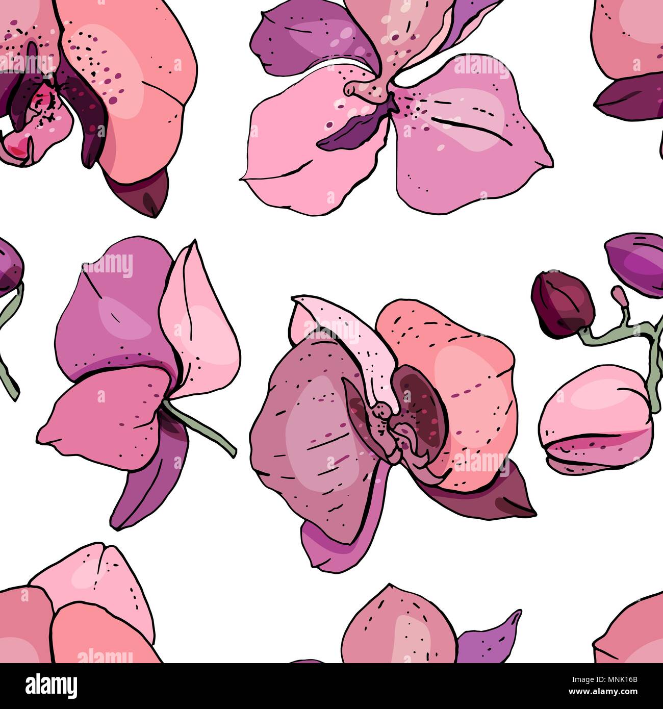 Seamless pattern with orchids Stock Vector Image & Art - Alamy