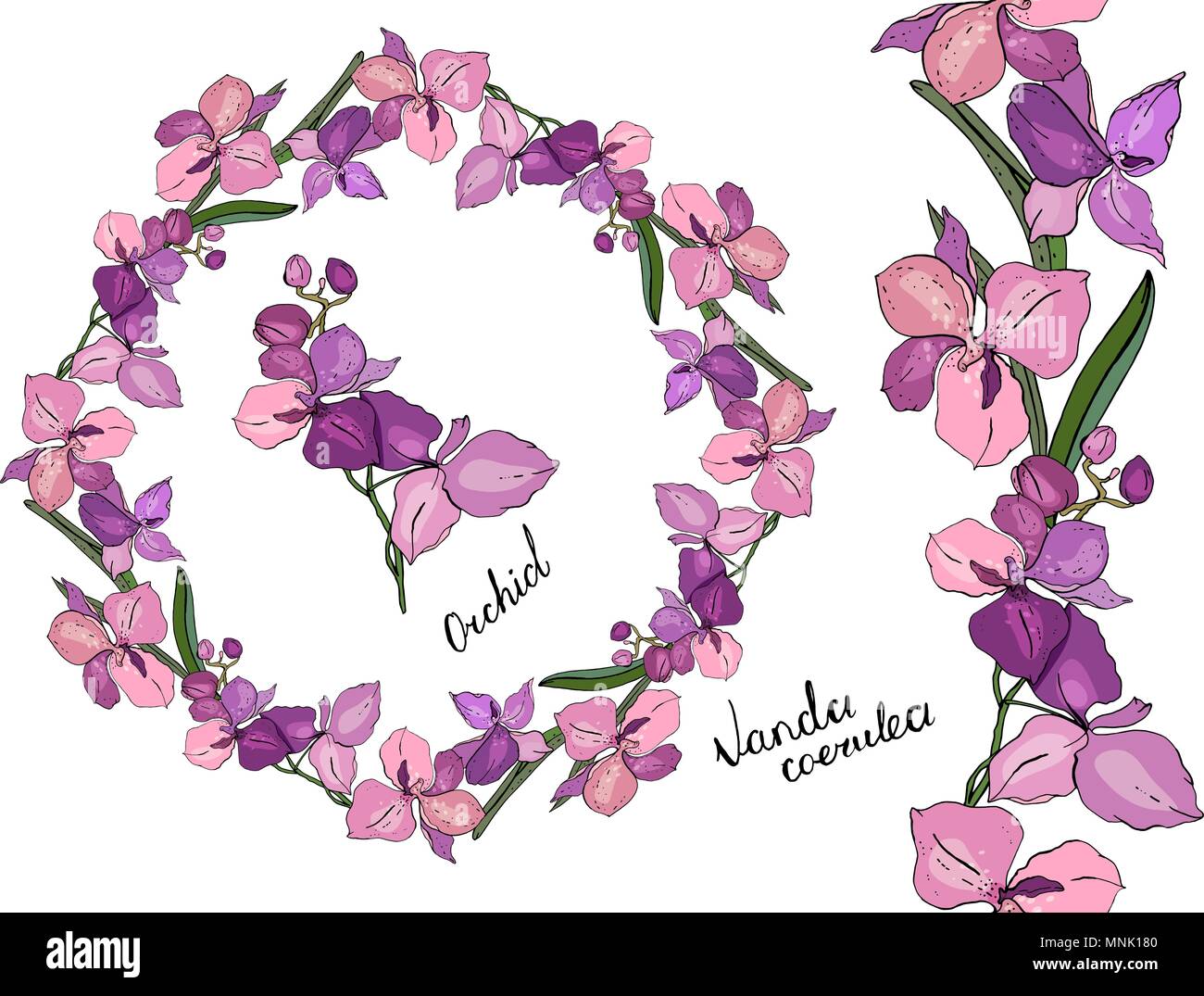 Wreath and vertical endless border made of different orchids. Stock Vector