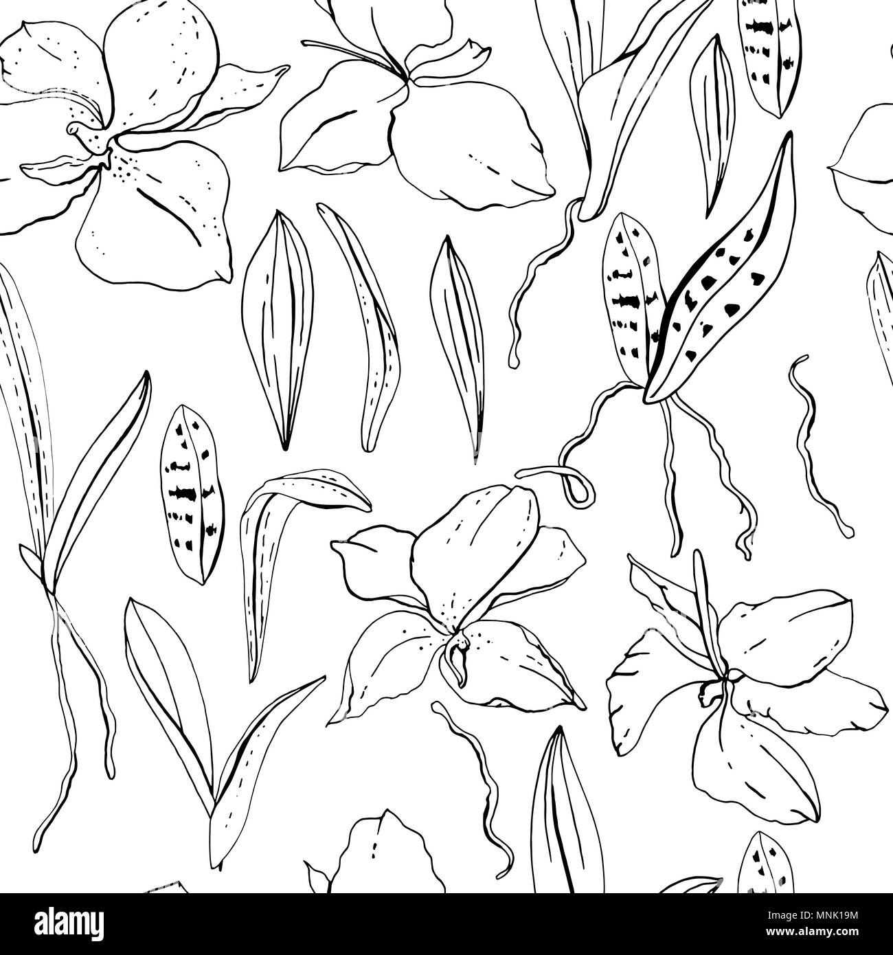 Seamless floral pattern with romantic orchid flowers. Stock Vector