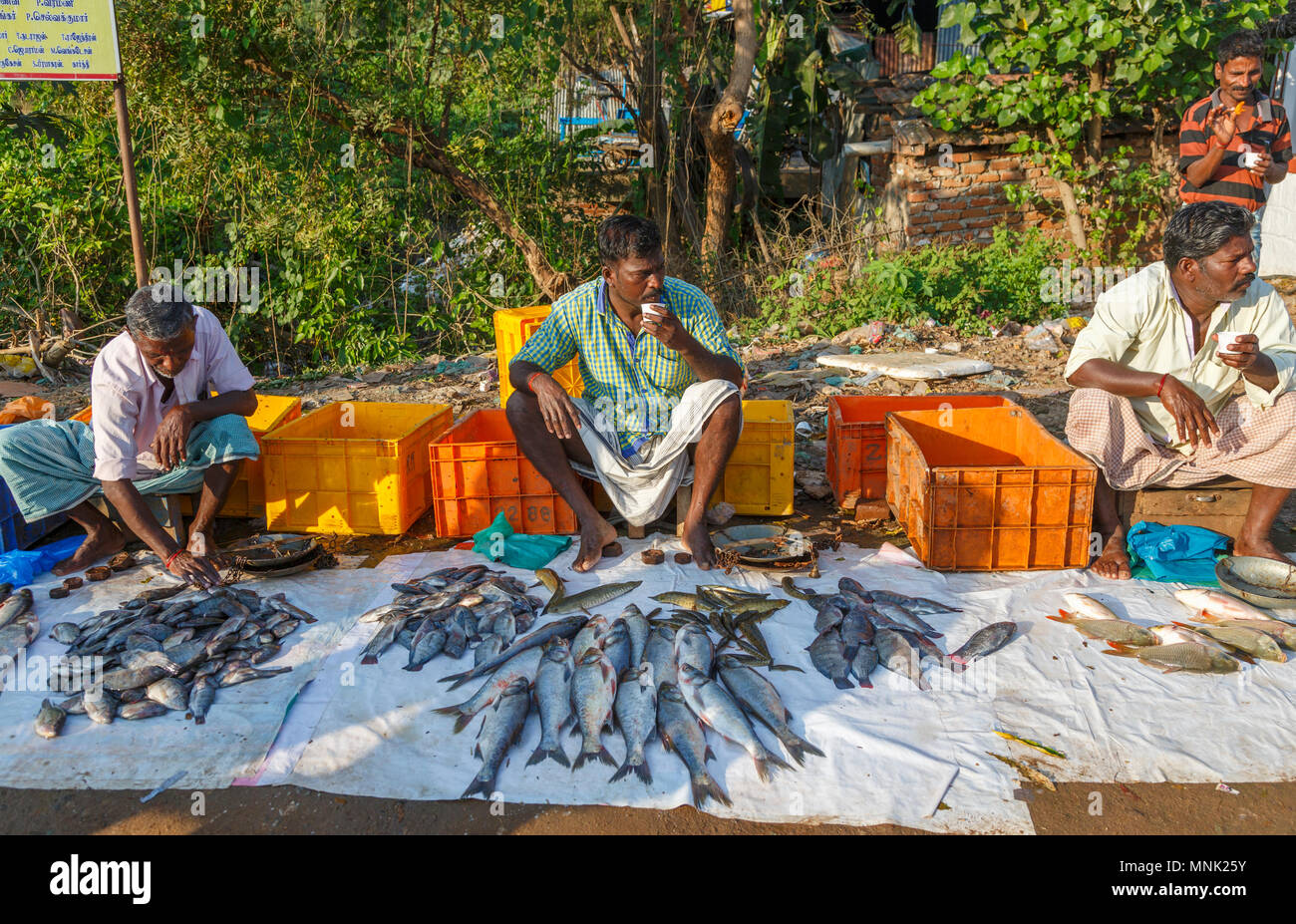 Roadside market for freshly caught local river fish near Thanjavur