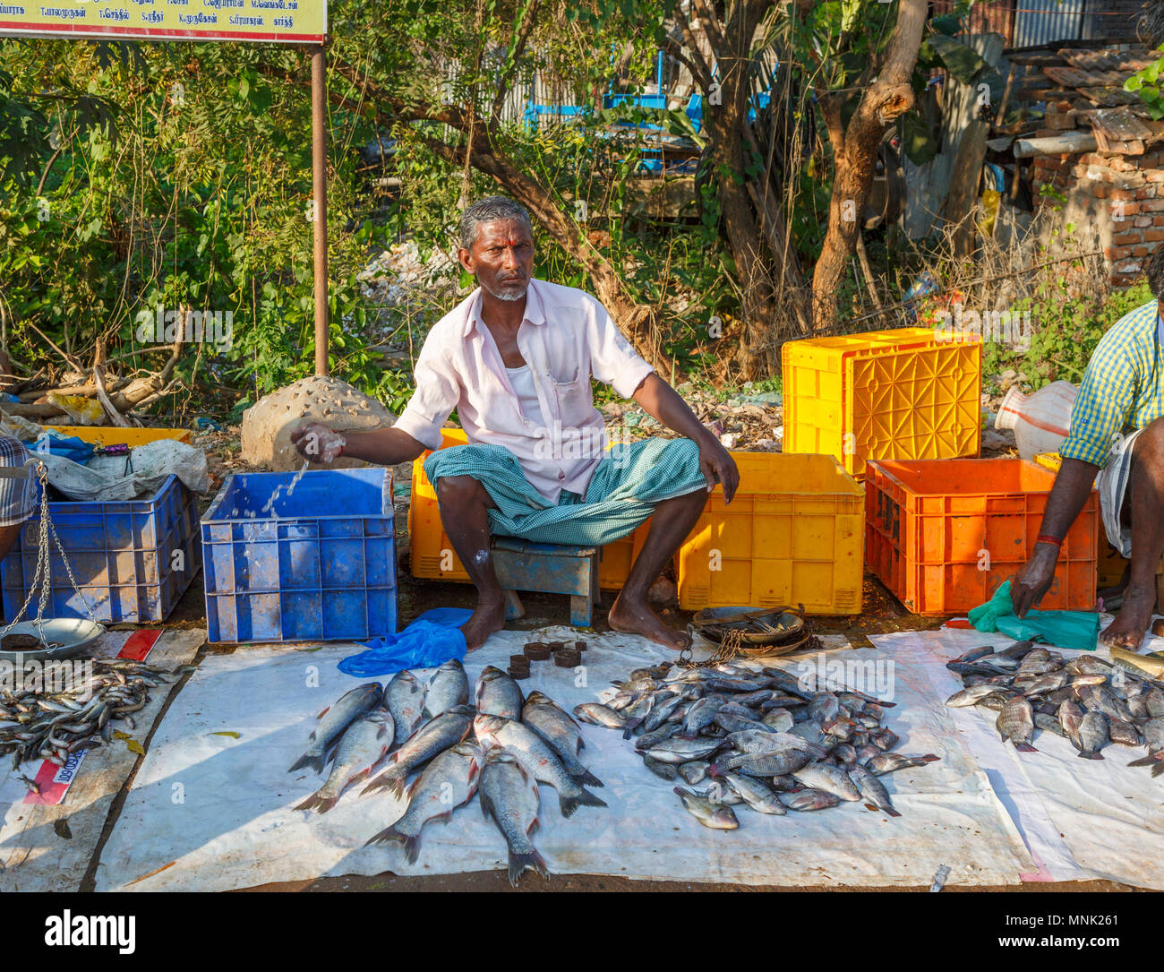 Roadside market for freshly caught local river fish near Thanjavur