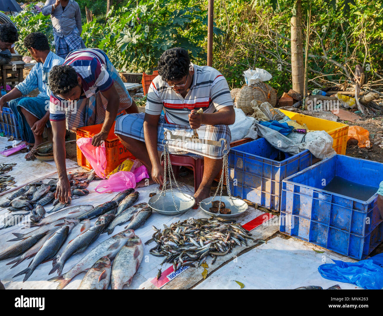 Roadside market for freshly caught local river fish near