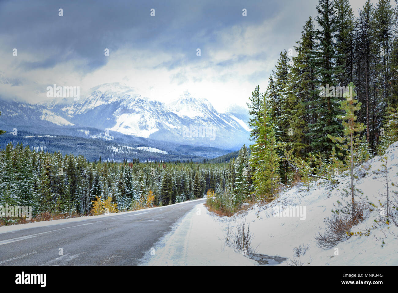Maligne Lake Road, Jasper National Park, Canada Stock Photo