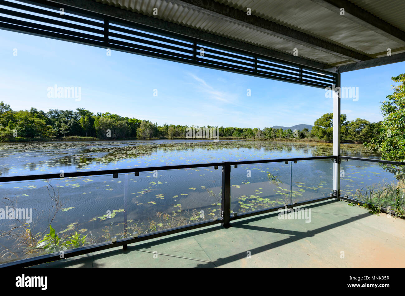 Viewing platform at picturesque Cattana Wetlands, a rehabilitated nature conservation park in Smithfield, near Cairns, Far North Queensland, FNQ, QLD, Stock Photo