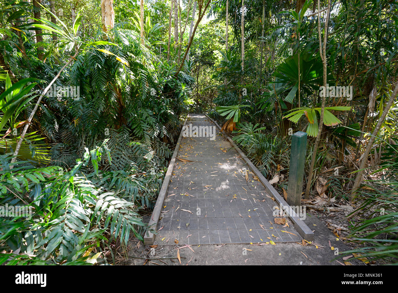 The Boardwalk at Cattana Wetlands, a rehabilitated nature conservation park in Smithfield, near Cairns, Far North Queensland, FNQ, QLD, Australia Stock Photo