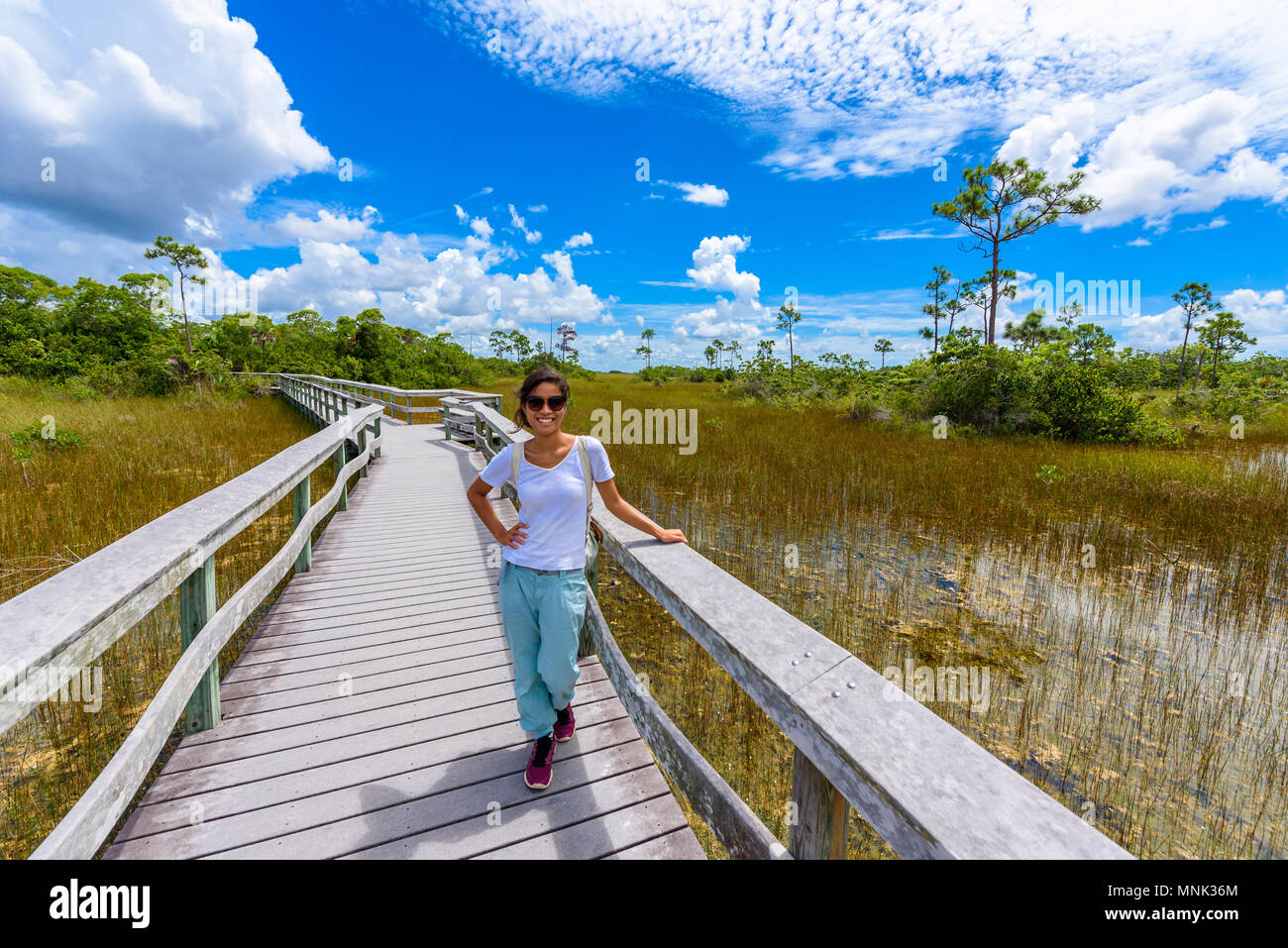 Mahogany Hammock Trail of the Everglades National Park. Boardwalks in