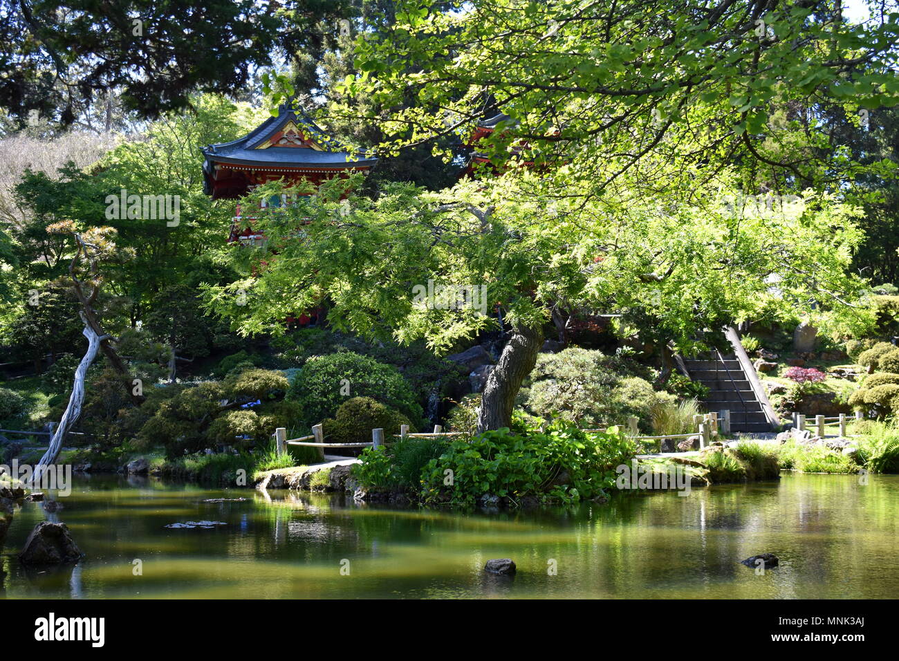 Japanese tea gardens trees hires stock photography and images Alamy