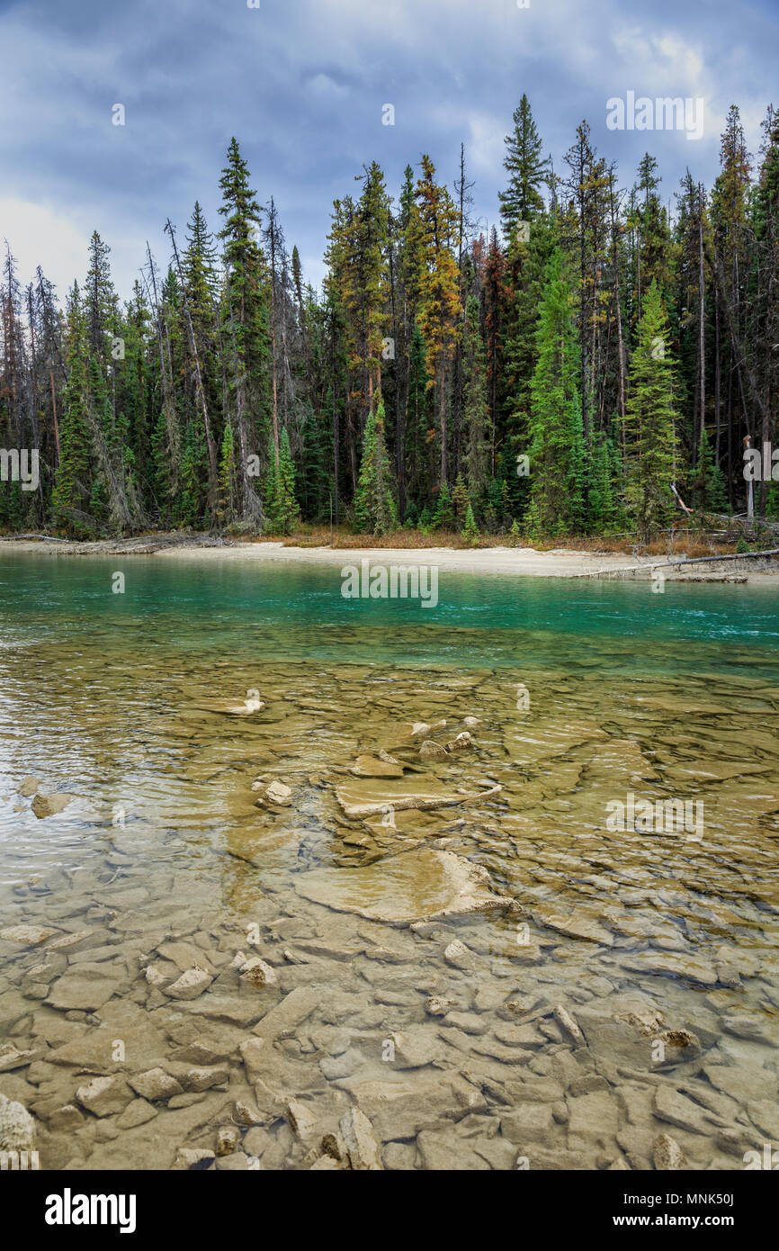 Athabasca River, Jasper National Park, Canada Stock Photo