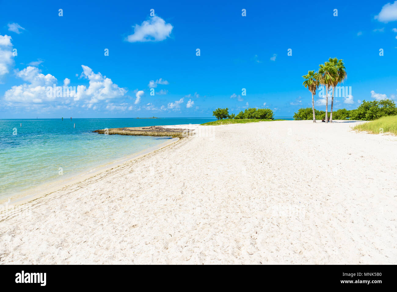 Sombrero Beach with palm trees on the Florida Keys, Marathon, Florida