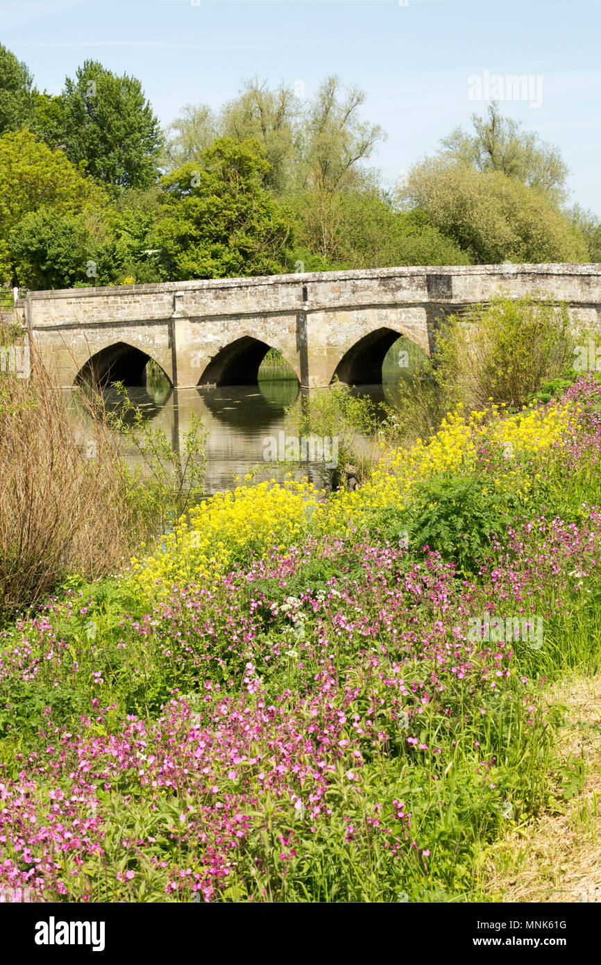 Stone road bridge over the Dorset Stour river near Sturminster Newton Dorset England UK GB, on a sunny day in May with red campion, Silene dioica, in  Stock Photo