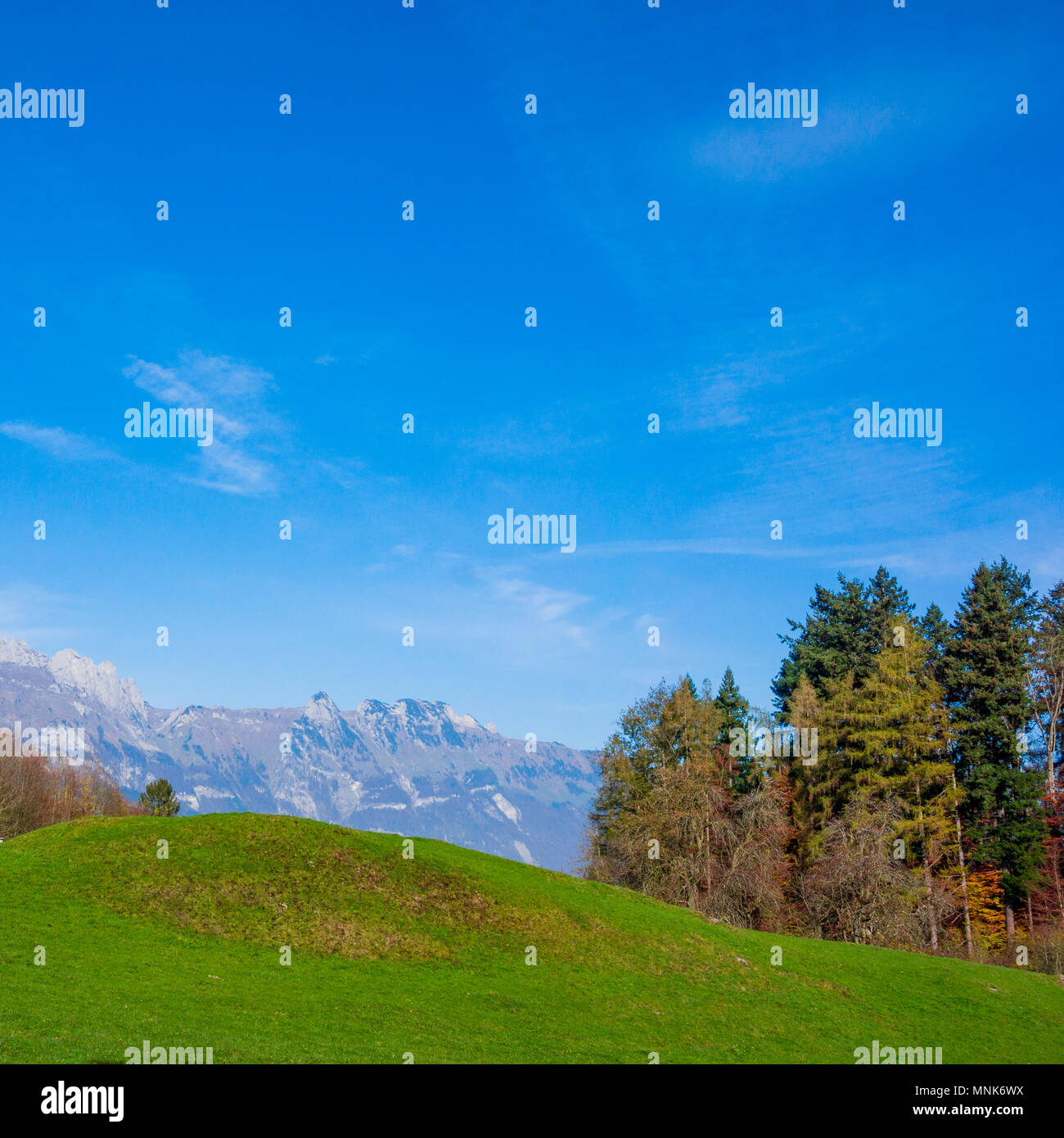 landscape in the Alps with fresh green meadows. Swiss Alps Stock Photo ...