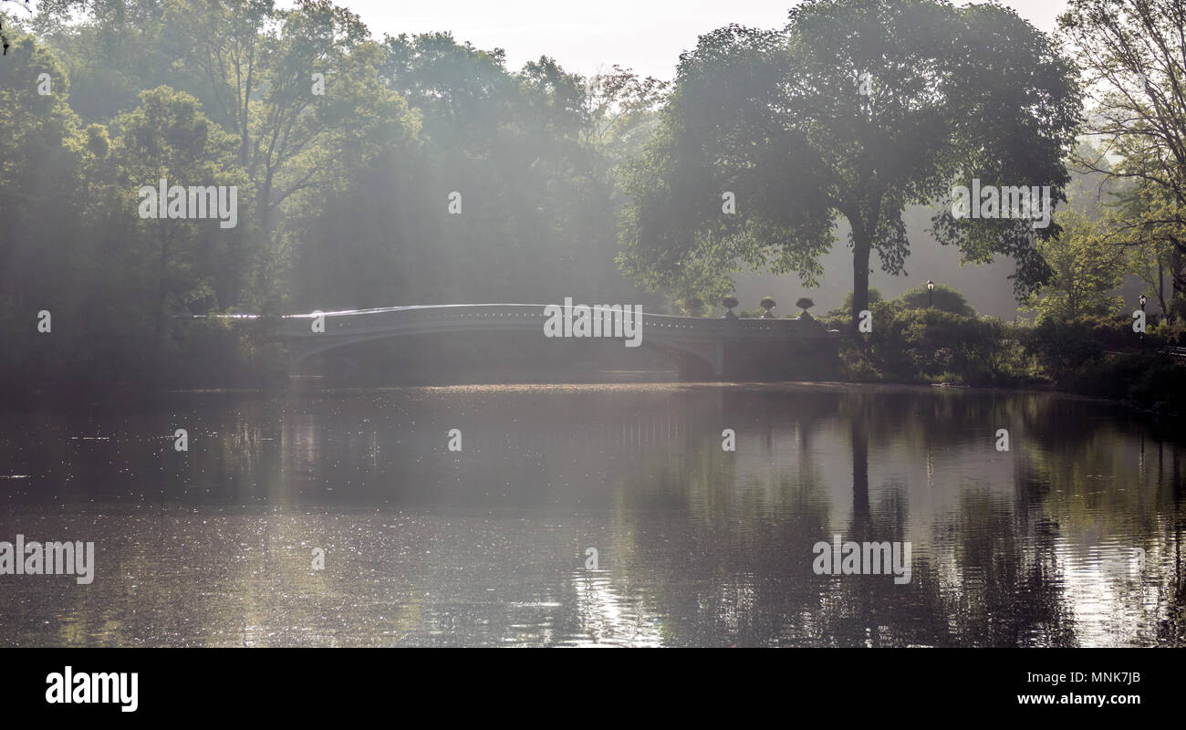 The Bow Bridge is a cast iron bridge located in Central Park, New York ...