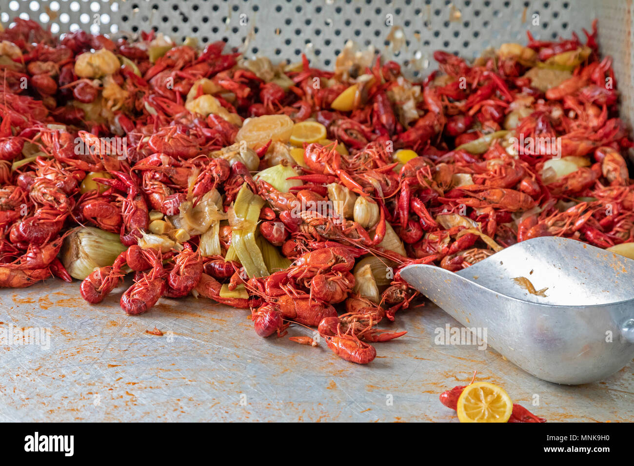 New Orleans, Louisiana - Crawfish on sale at the French Market. Stock Photo