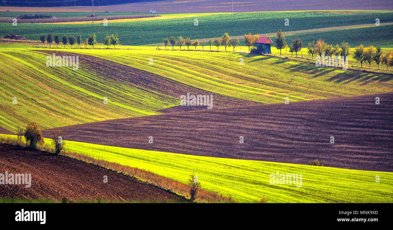Moravian wine hires stock photography and images Alamy
