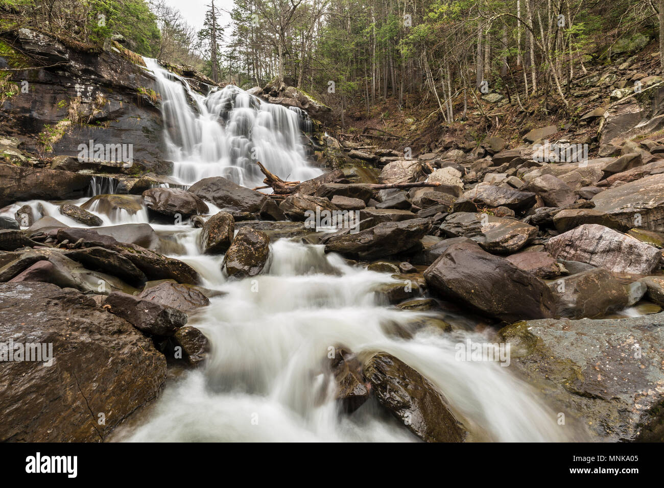 Heavy Spring water flow over Bastion Falls on Spruce Creek, downstream from Kaaterskill Falls off Route 23A in Haines Falls, New York. Stock Photo