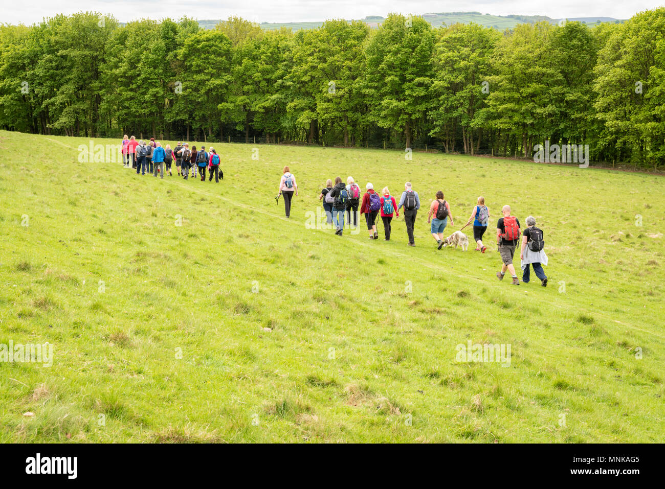 A group of people walking in the Yorkshire  countryside UK  in spring Stock Photo