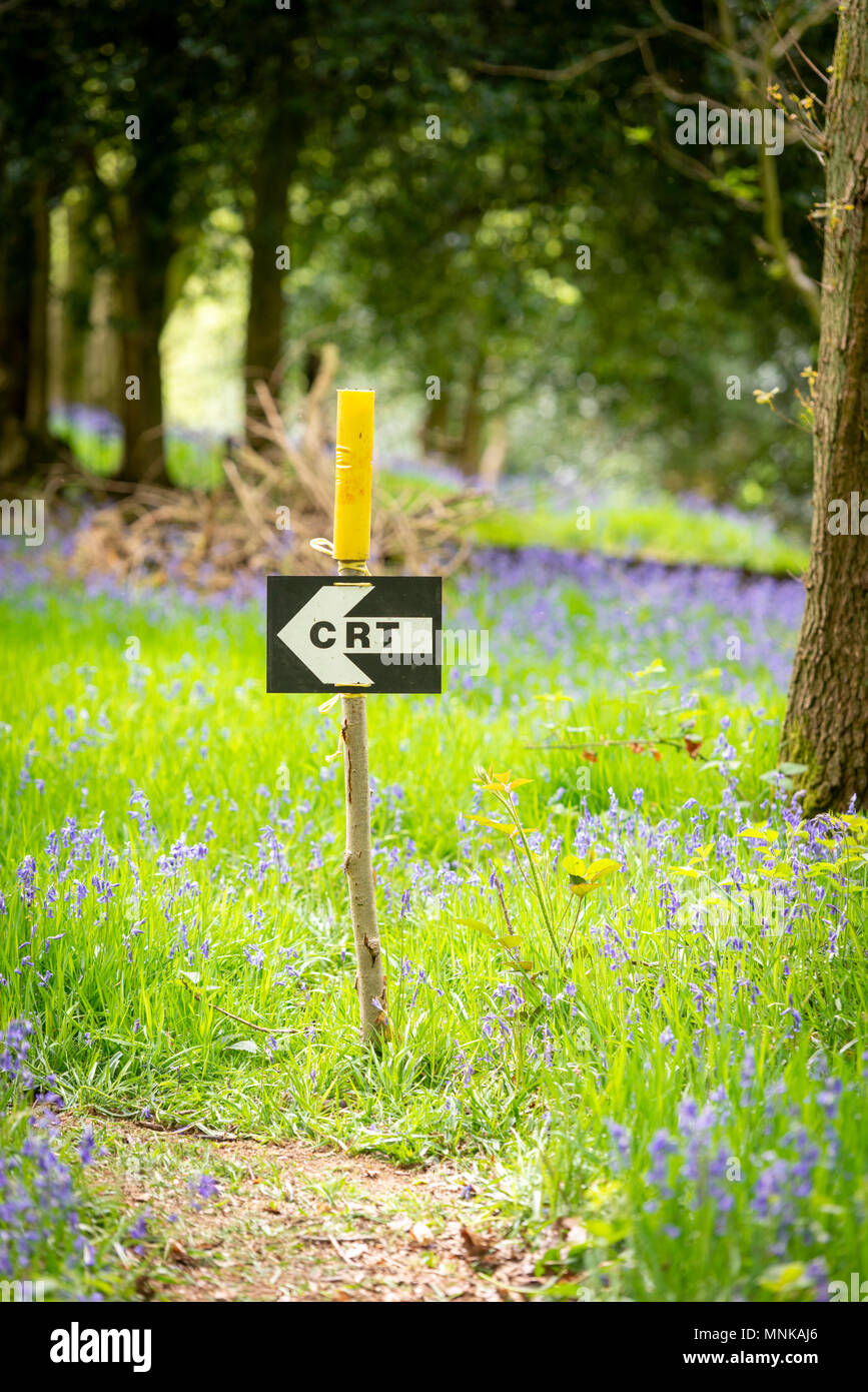 A sign for the CRT or Countryside Restoration Trust marking a path in a bluebell wood on an open day in Margaret Wood Yorkshire UK Stock Photo