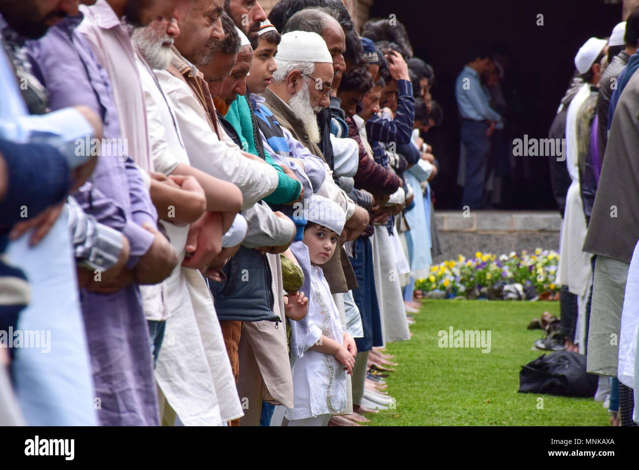 Kashmiri Muslims prays on the first Friday of the holy fasting month of Ramadan in the garden of Jamia Masjid or Grand Mosque. Islam's holiest month of Ramadan is a period of intense prayer, dawn-to-dusk fasting and nightly feasts. Stock Photo