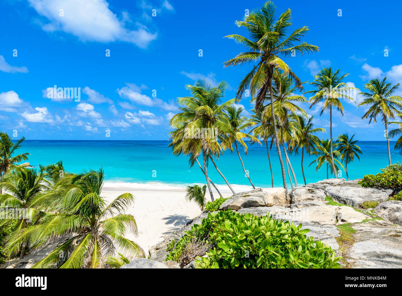 Bottom Bay, Barbados - Paradise beach on the Caribbean island of Barbados. Tropical coast with 