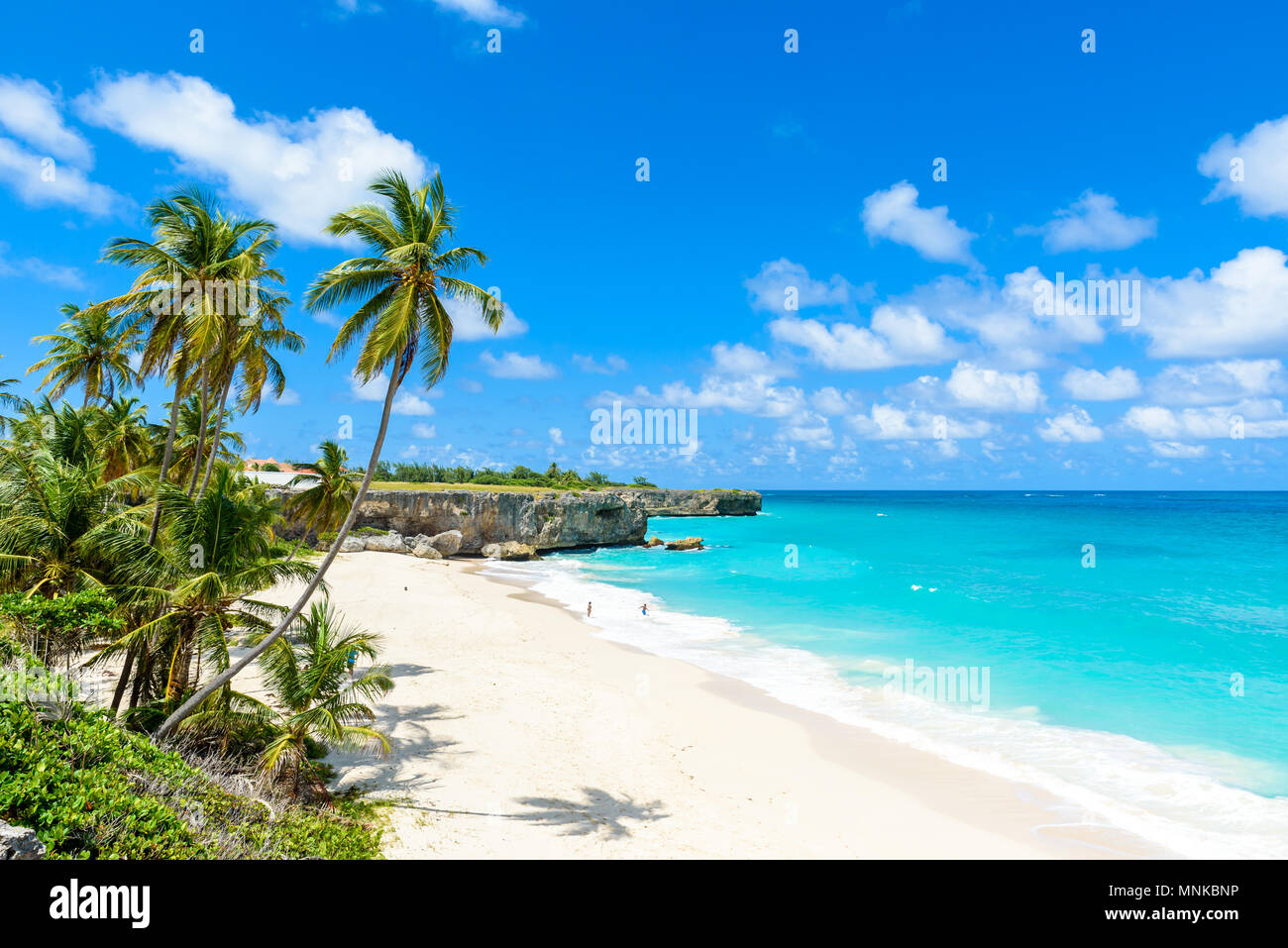 Bottom Bay, Barbados - Paradise beach on the Caribbean island of Barbados. Tropical coast with 