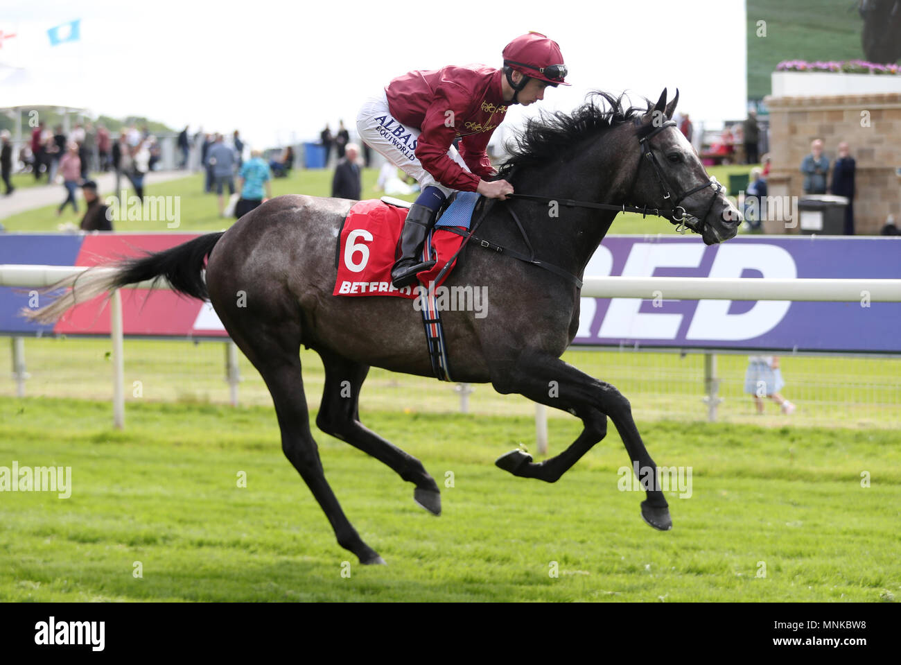 Roaring Lion ridden by Oisin Murphy goes to post Stock Photo