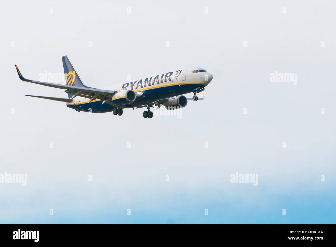 PISA, ITALY - JANUARY 15, 2017 - A Ryanair Boeing 737-600 lands at Pisa Airport (Galileo Galilei) Stock Photo