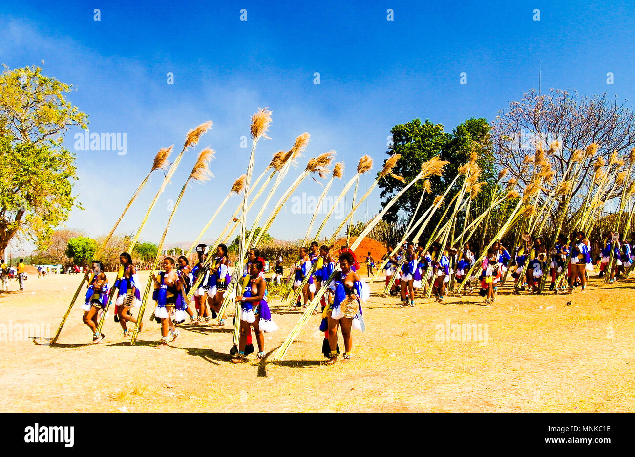 Women in traditional costumes marching at the Umhlanga aka Reed Dance