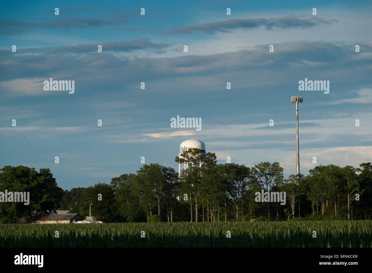 Rain clouds building behind the Foley, Alabama water tower. Stock Photo